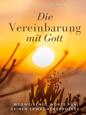 cover image of Die Vereinbarung mit Gott